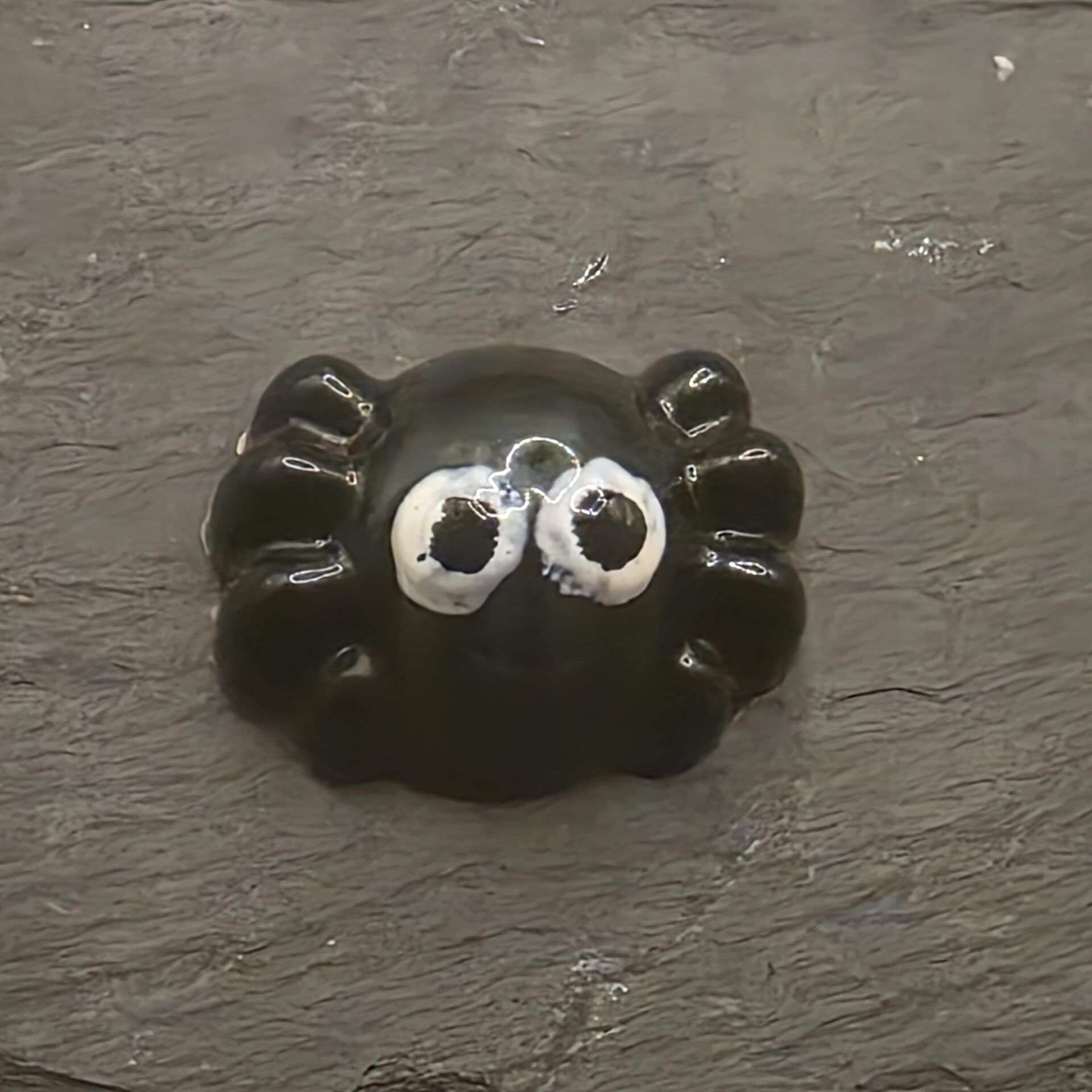 Großes Halloween Special – Bild 5